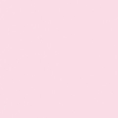 🌸