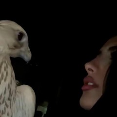 GH