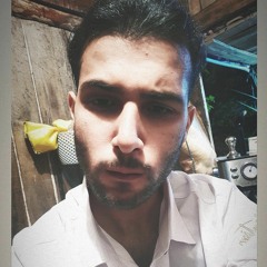 Mohammad Amin Talebifard