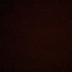 عادل