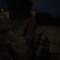 orange moon