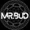 Mr.Bud (Mythical Experience/Our Minds Music)