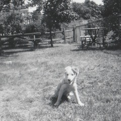 G Nebula (@gnebulaa)