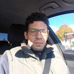 Stefano Pli
