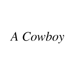 cowboycobe