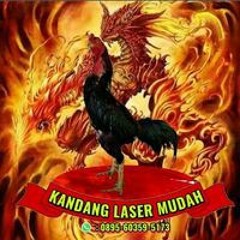 Kandang Laser Mudah