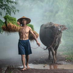 Anh