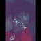 Amya J.