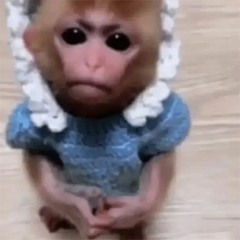 Женечка