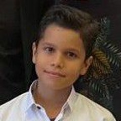 Malek Mohamed Mohsen