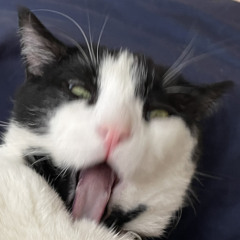 Ghost in Human Shape