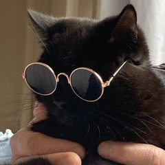 Funkymeowmeow