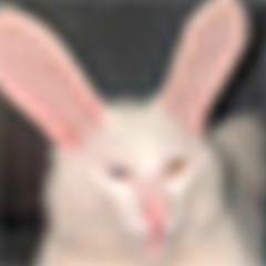 BALABOL