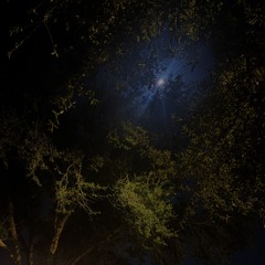 beingalonebroughtpeacewhenitshouldnthave