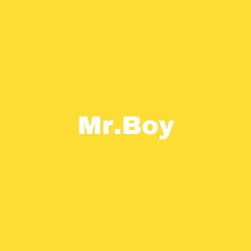 Mr.Boy’s avatar