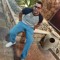 Hesham M