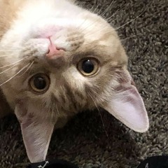 Zee