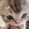 lilyemox