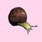 Hungry Snail