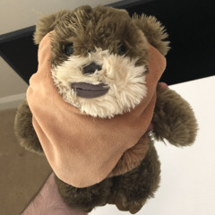 bear
