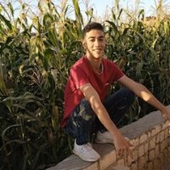 Ammar Yasser