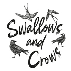 Swallows and Crows