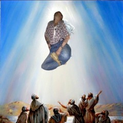 Papi Chulo
