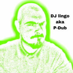 DJ Lingo aka P_Dub