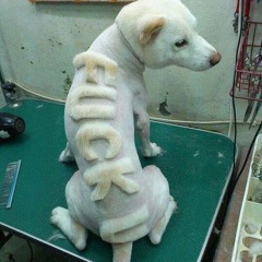 Bojloeroe