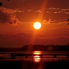 kerchiefreed1234@gmail.com