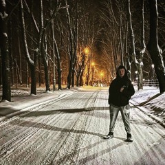 Alekse1_N