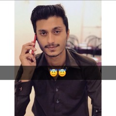 Hassnain naqvi