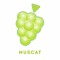 MUSCAT