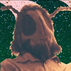 Awfulmoth