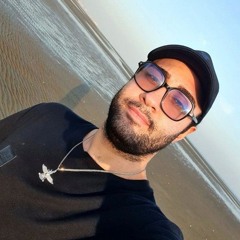 MohammadHosein Sheybani-Arani