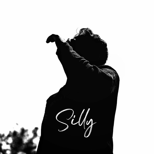 Silly’s avatar