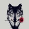 wolfy