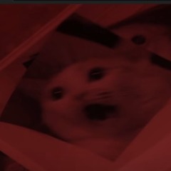 sillycat.reg