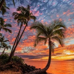 Yaquelin De La Roca Arenales