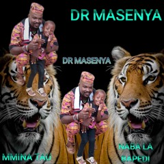 Dr Masenya
