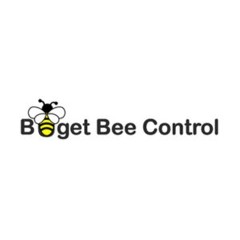 Budget Bee Control