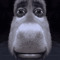 string_cheese