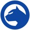 bluekat