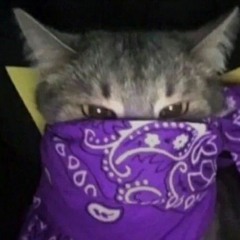 phleenk