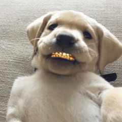SheLuv$Ale