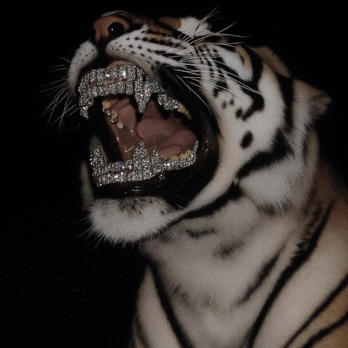 LATTO - SAY THAT SHIT