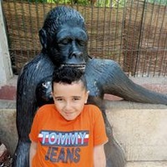 عادل ابوالوفا