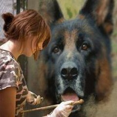 محمد فوزي العالمي