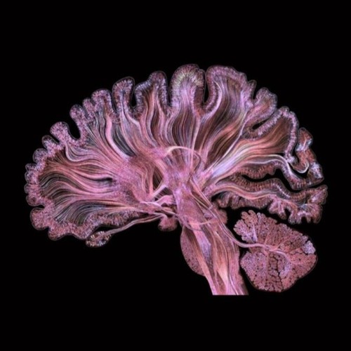 6Hz Theta Flow State Binaural Beats