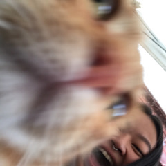 gatacry